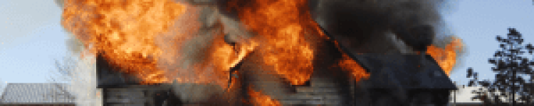 Blog5